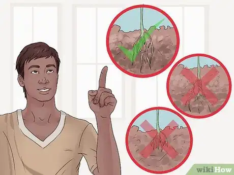 Image intitulée Take Care of Plants Step 17