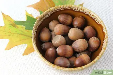 Image intitulée Dry Acorns for Crafts Step 7