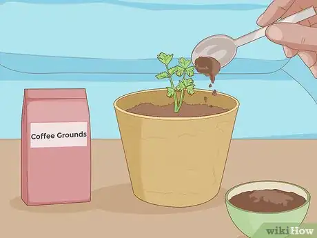 Image intitulée Grow Plants Faster Step 15