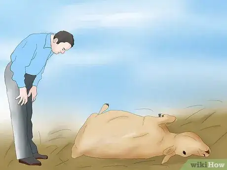 Image intitulée Help a Cow Give Birth Step 2