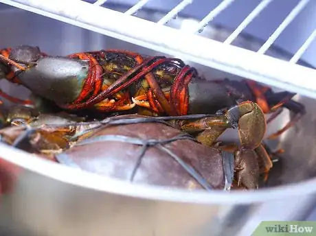 Image intitulée Prepare Crabs Step 13