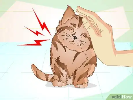 Image intitulée Get a Sick Kitten to Eat Step 16