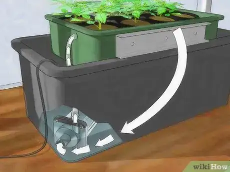 Image intitulée Grow Hydroponic Tomatoes Step 1