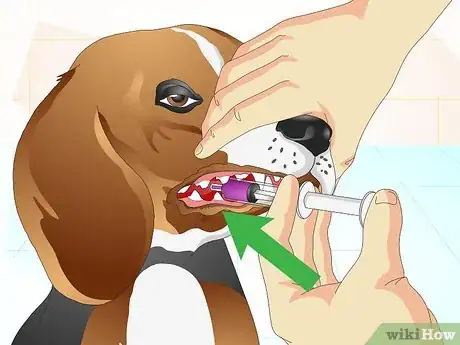 Image intitulée Get Your Dog to Take His Medicine Step 12