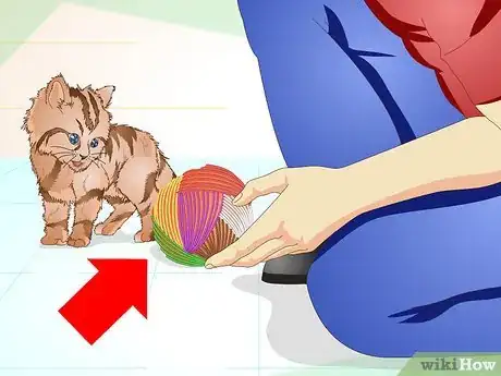 Image intitulée Get a Sick Kitten to Eat Step 15