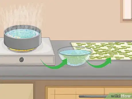 Image intitulée Grow Soybeans Step 12