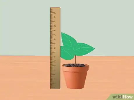 Image intitulée Measure Growth Rate of Plants Step 1