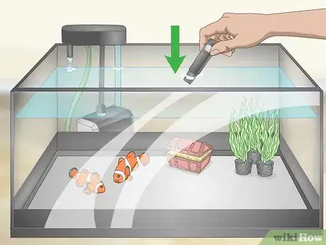 Image intitulée Raise the pH of a Fish Tank Step 2