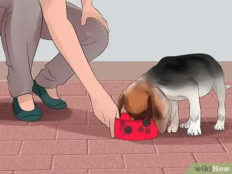 Image intitulée Approach a Shy or Fearful Dog Step 16
