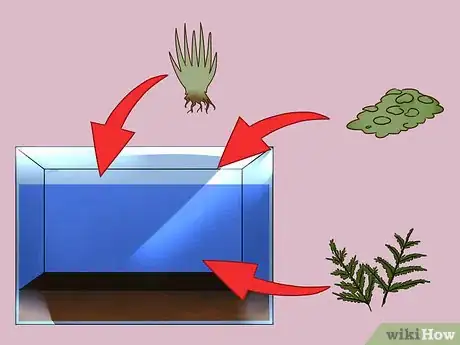 Image intitulée Build a Self Sustaining Ecosystem Step 5