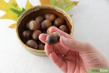 Image intitulée Dry Acorns for Crafts Step 6