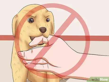 Image intitulée Prevent Dog Bites Step 13