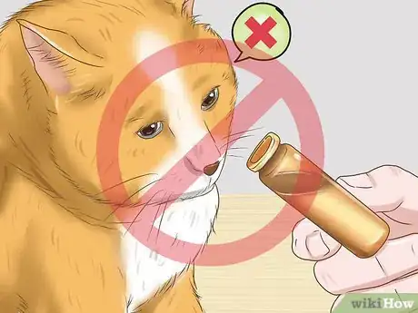 Image intitulée Calm Your Cat with Aromatherapy Step 10