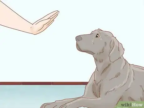 Image intitulée Put on a Dog Harness Step 8