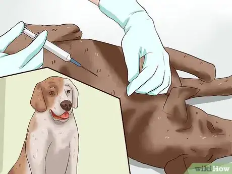 Image intitulée Prevent Dog Bites Step 15
