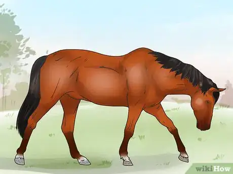Image intitulée Tell if Your Horse Needs Hock Injections Step 4