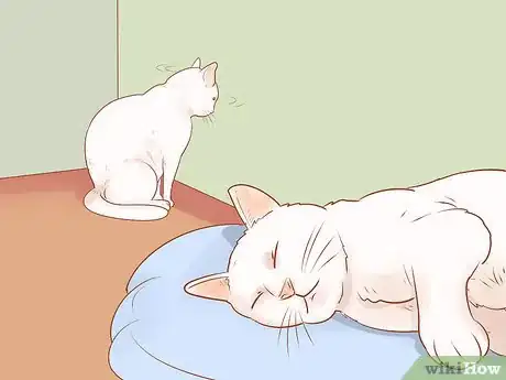 Image intitulée Know if Your Cat Is Sick Step 10