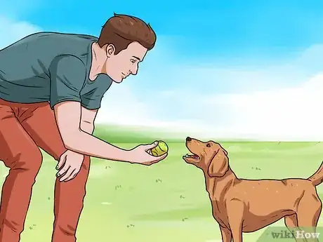 Image intitulée Teach a Dog to Fetch Step 4