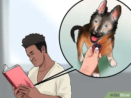 Image intitulée Train a German Shepherd Step 15