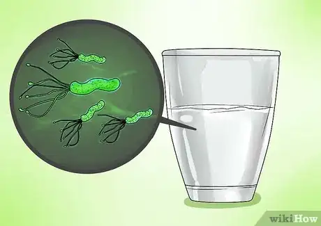 Image intitulée Cure H. Pylori Naturally Step 16