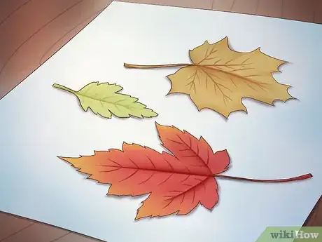 Image intitulée Preserve Fall Leaves Step 23