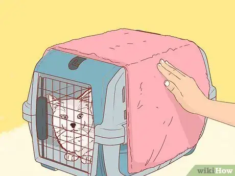 Image intitulée Get a Cat Into a Pet Carrier Step 6