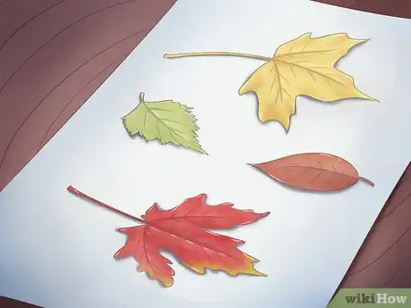 Image intitulée Preserve Fall Leaves Step 20