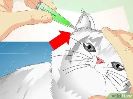 Image intitulée Check Cats for Ear Mites Step 7