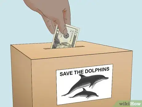 Image intitulée Save Dolphins Step 10