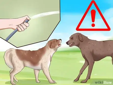 Image intitulée Prevent Dog Bites Step 18
