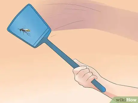 Image intitulée Kill a Wasp Step 5