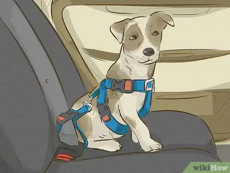 Image intitulée Keep Your Dog Happy Step 10