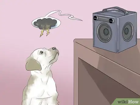 Image intitulée Calm a Dog During Thunderstorms Step 10