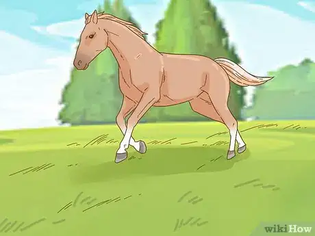 Image intitulée Calm Your Horse Down Quickly Step 11