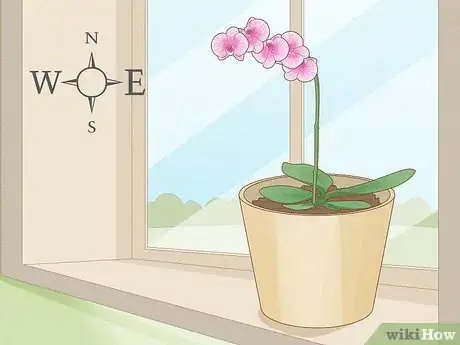 Image intitulée Prune Orchids Step 12