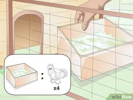 Image intitulée Care For Silkie Chickens Step 5