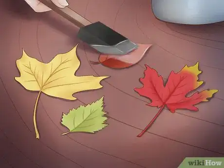 Image intitulée Preserve Fall Leaves Step 19