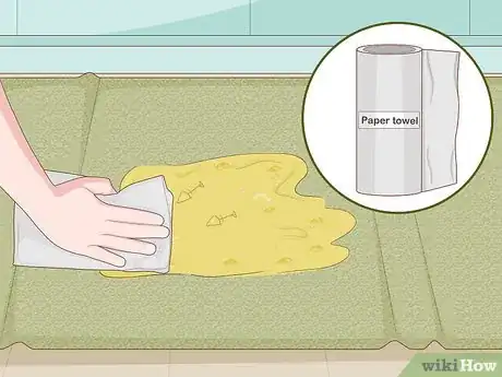 Image intitulée Clean Pet Vomit from Carpet Step 1