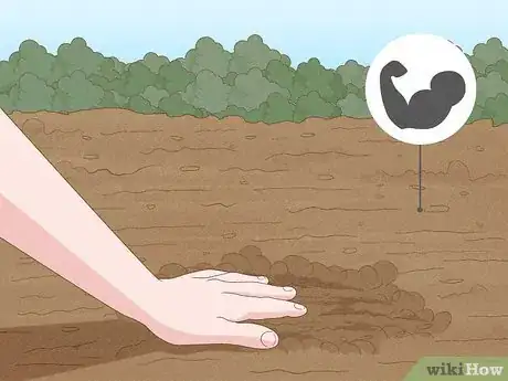 Image intitulée Why Does Your Soil Smell Like Ammonia Step 4