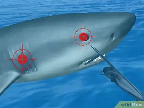 Image intitulée Survive a Shark Attack Step 4Bullet1