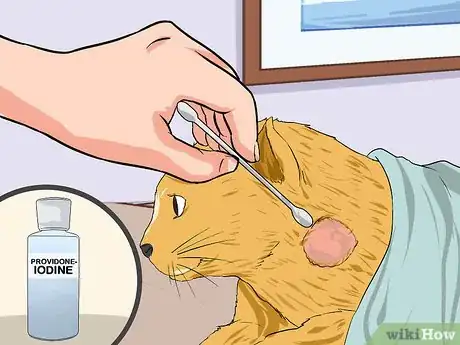 Image intitulée Clean a Cat Wound Step 10