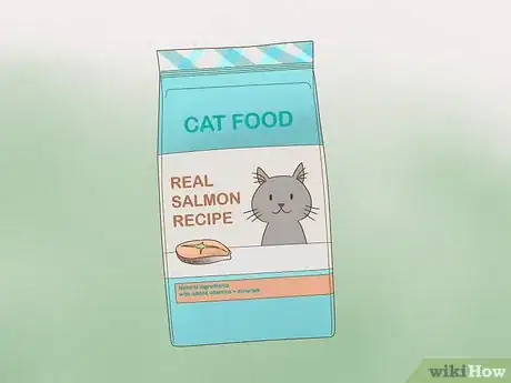 Image intitulée Reduce Cat Dander Step 5