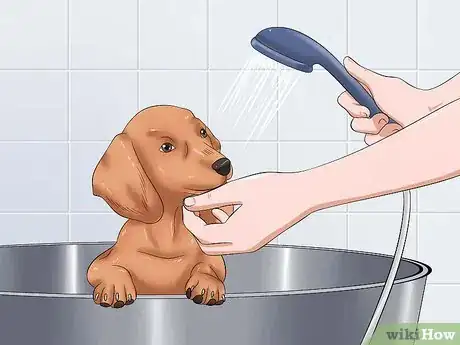 Image intitulée Bathe a Dog and Keep It Calm Step 6