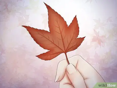 Image intitulée Preserve Fall Leaves Step 27