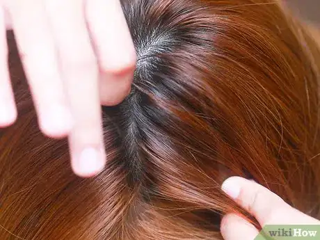 Image intitulée Prevent Head Lice Step 18