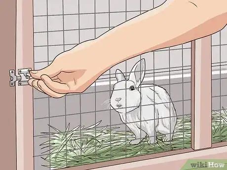 Image intitulée Clean a Rabbit Hutch Step 9
