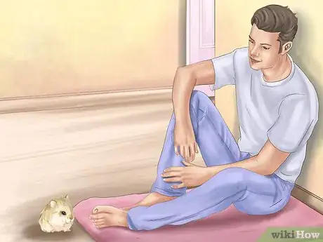 Image intitulée Care for Roborovski Hamsters Step 25