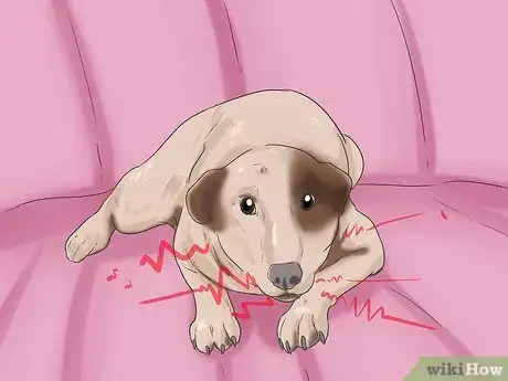 Image intitulée Tell if a Dog Is in Pain Step 10