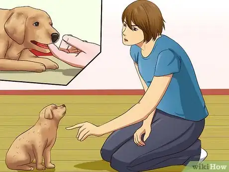 Image intitulée Get Your Puppy to Stop Biting Step 9