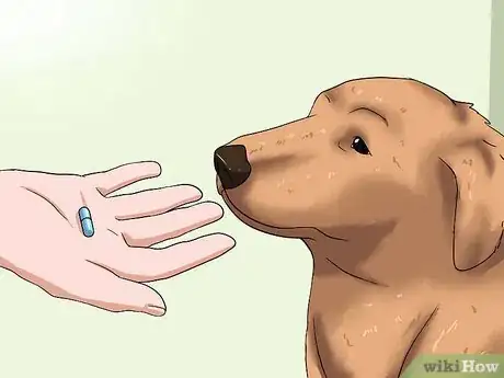 Image intitulée Help Your Dog Lose Weight Step 6